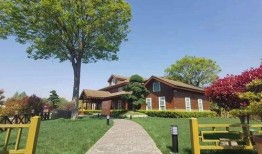 淄博民宿爆料最新消息查询,揭秘热门民宿背后的故事与魅力